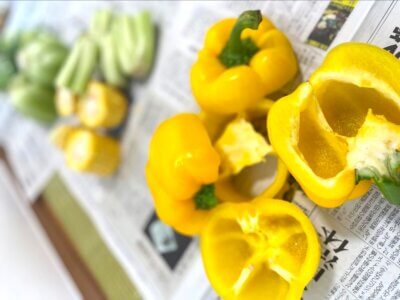 【北習志野校】6月は「野菜スタンプ」を使ってサイエンス×アート✨ | レインボーコース