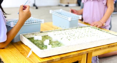 【北柏校】“食農教育のお兄さん” 杉原さんによる水耕栽培イベントを開催！ | イベント