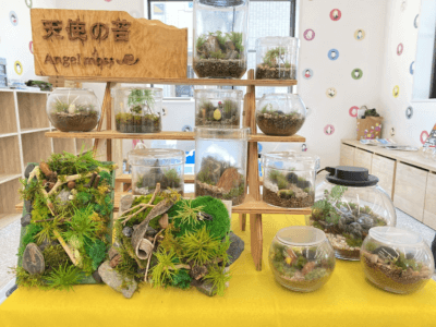 夏休みイベント「自分だけの苔テラリウムを作ろう！」を開催しました！ | イベント