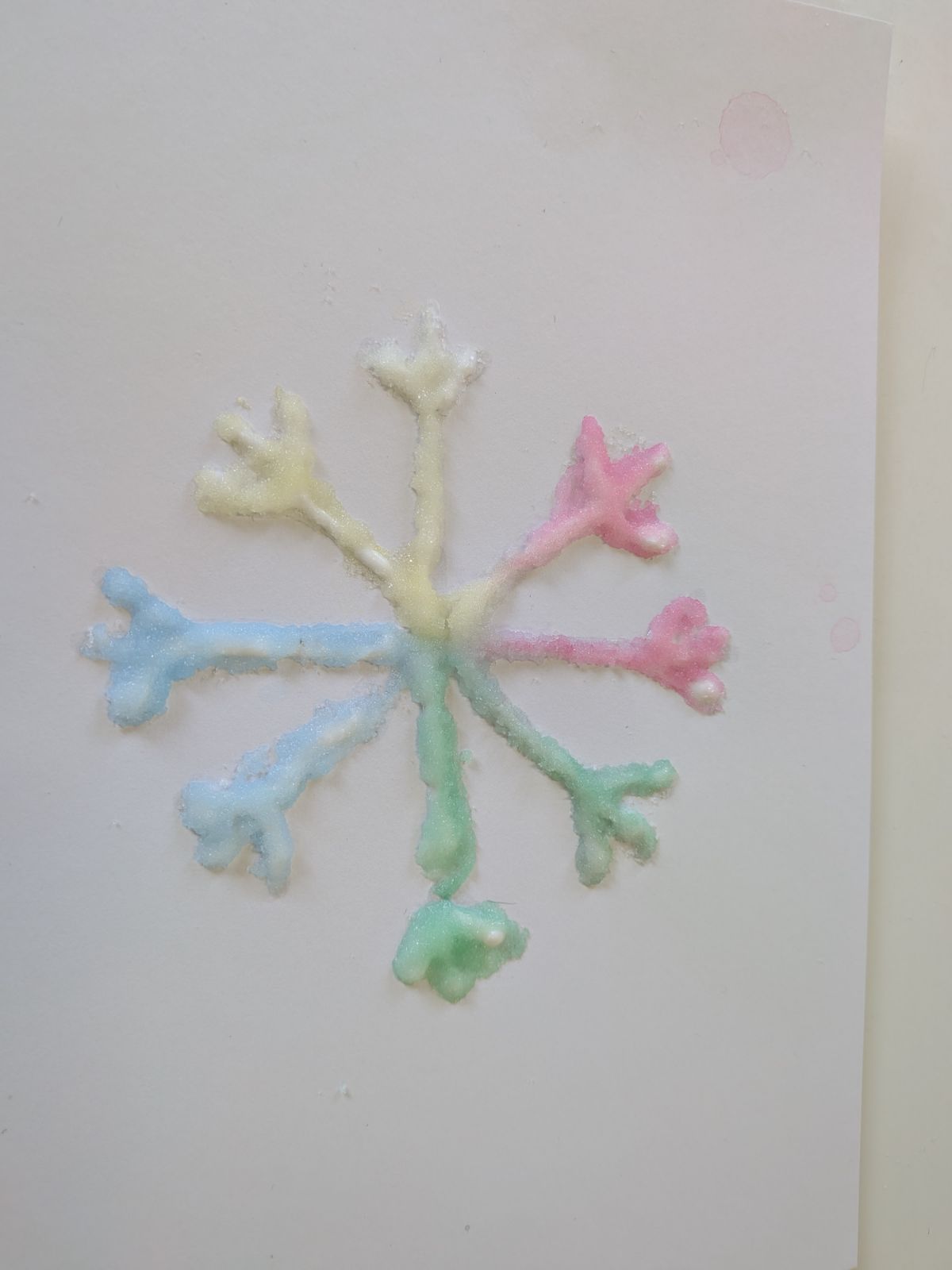 八千代富士幼稚園で「ソルトアート」出張授業を実施しました！ | 出張授業