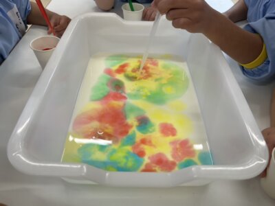 【幼稚園レポート】マジックミルク！～移動する不思議な色水～ | その他