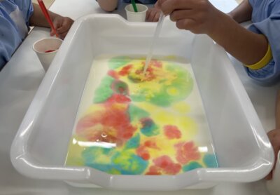 【幼稚園レポート】マジックミルク！～移動する不思議な色水～ | その他