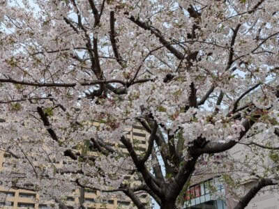 南砂町にてzunŌwオープン記念イベント開催しました！ | チャレンジコース